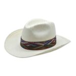 Cowboy TEJANO ARENAS